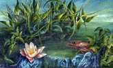 Dietrich Schuchardt Water Lilies (From My Garden) gouache on board painting